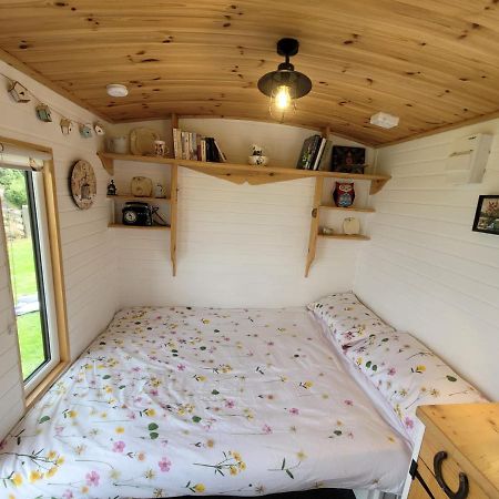 The Shepherds Hut At Forestview Farm Greenisland Exterior photo